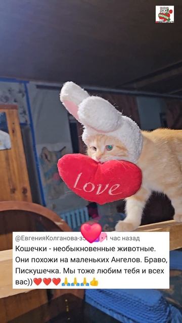 Маленький Рыжуля-Прыжуля по уши Влюбился в Евгению Колганову 🌜🐰❤️👸✨️