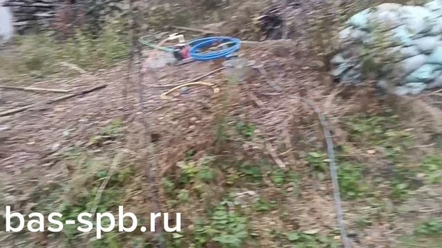 Рохма абиссинская скважина