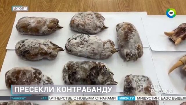 Телеканал МИР 24, программа  «Новости», 30.09.2025