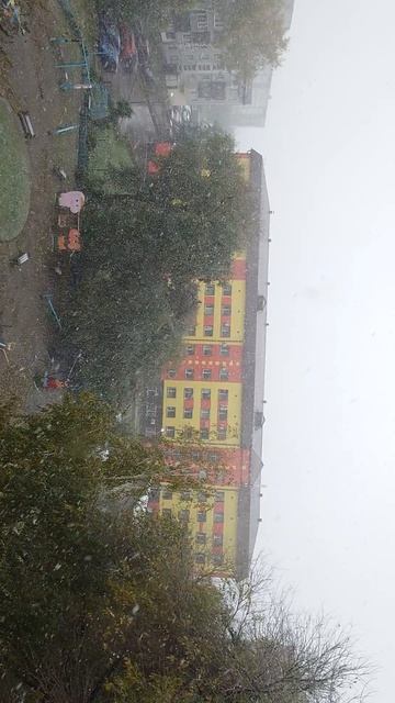 Снегопад – это атмосферные осадки в виде снега😯🫣☺️❄️