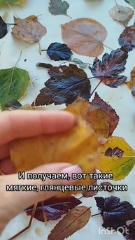 Мастер-класс "Консервированные листочки"