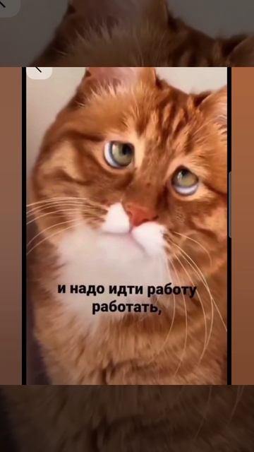 Доброе утро #доброеутро #благодарность