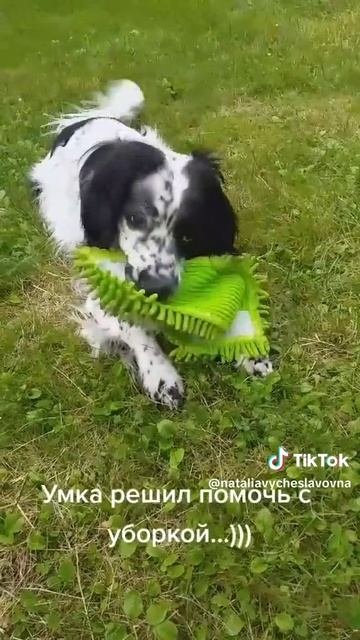 Помогаю, помогаю...)))