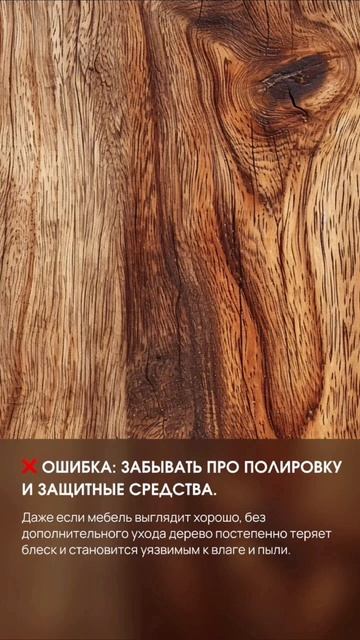 📌 Все правила ухода за ДЕРЕВОМ В ДОМЕ 🪵