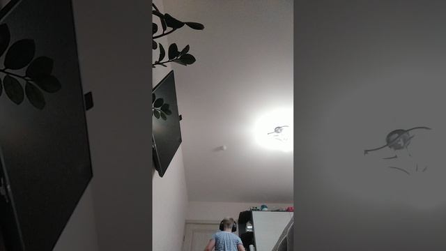 VID_20251005_195153.mp4