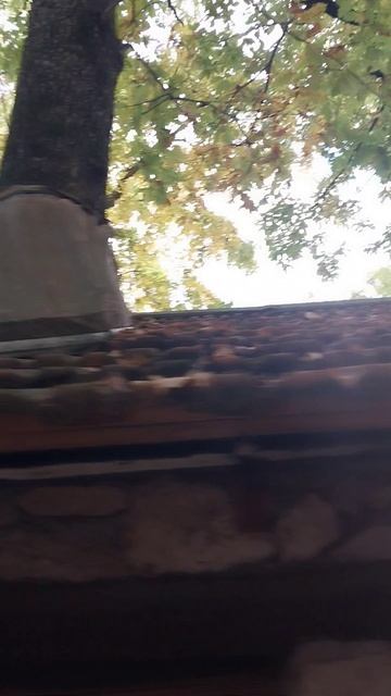 Как обшить дерево в крыше, чтобы не попадала вода!