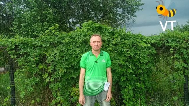 Театралам на заметку:)(:)