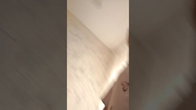 сомик