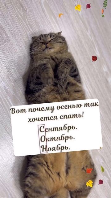 Психолог Роза Сэй