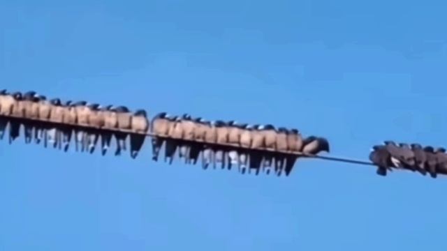 Иногда тяжело определиться, с кем тебе хочется быть🤣