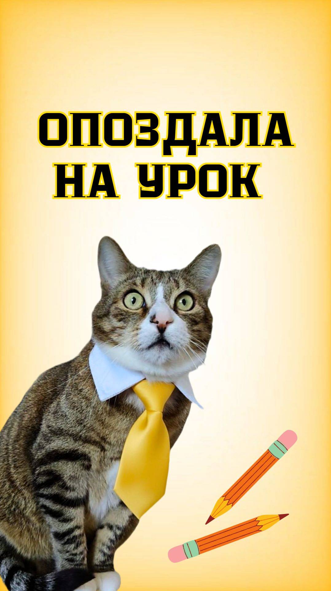 Она опять опоздала на урок!😾