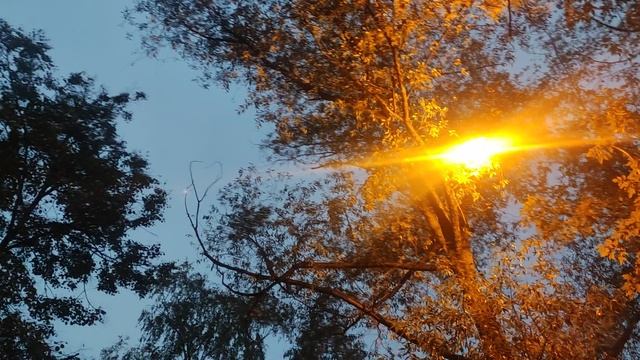 магический 🧝 вечер и прогноз на 6 октября....
