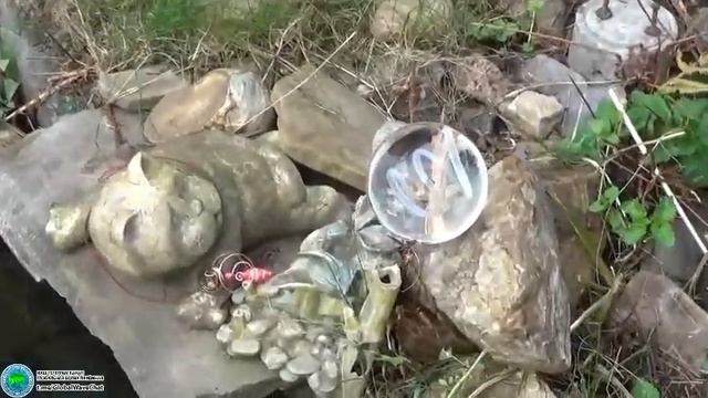 Белый Сокол Степной  - Посвящается Андрею Девятову - Глобальная волна