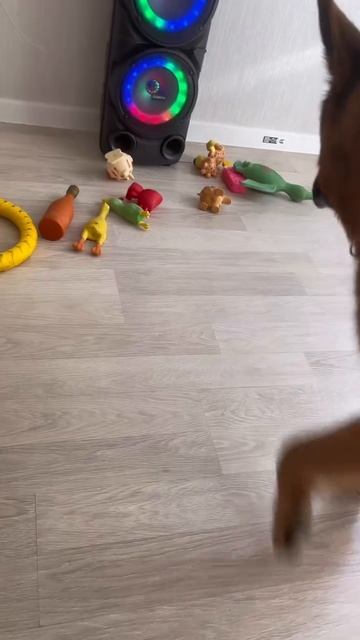 Ради игрушек он встаёт даже простывший 🥹