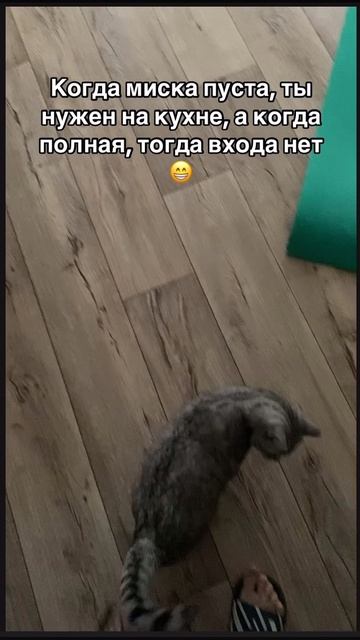 05-10-2025