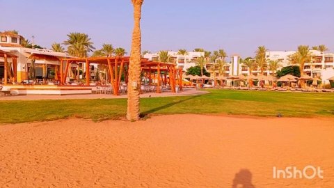 Amphoras beach Hotel 5* ultra all пляж отеля #Шармэльшейх