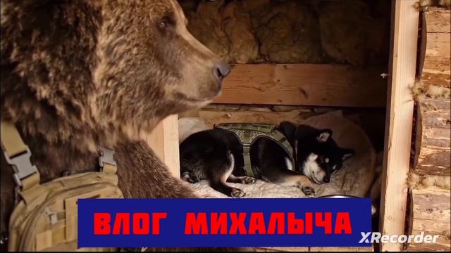 БУДНИ ОТРЯДА!!!