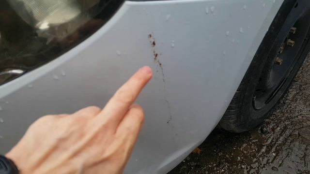 Лада веста. Косяк сигнализации и кузов