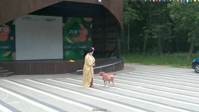 2024-06-23_7383779452435565831_1080p [clean_soft_lossless_2]
