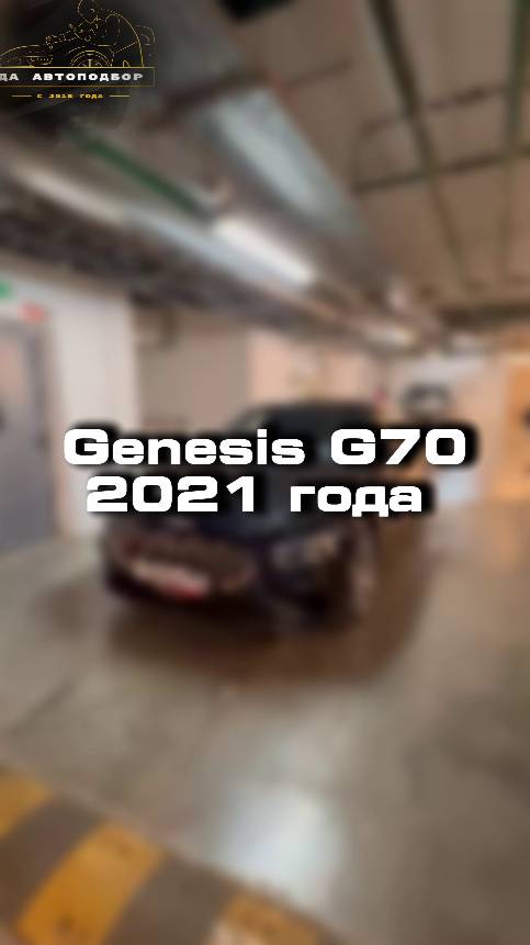 Как вы относитесь к марке Genesis?