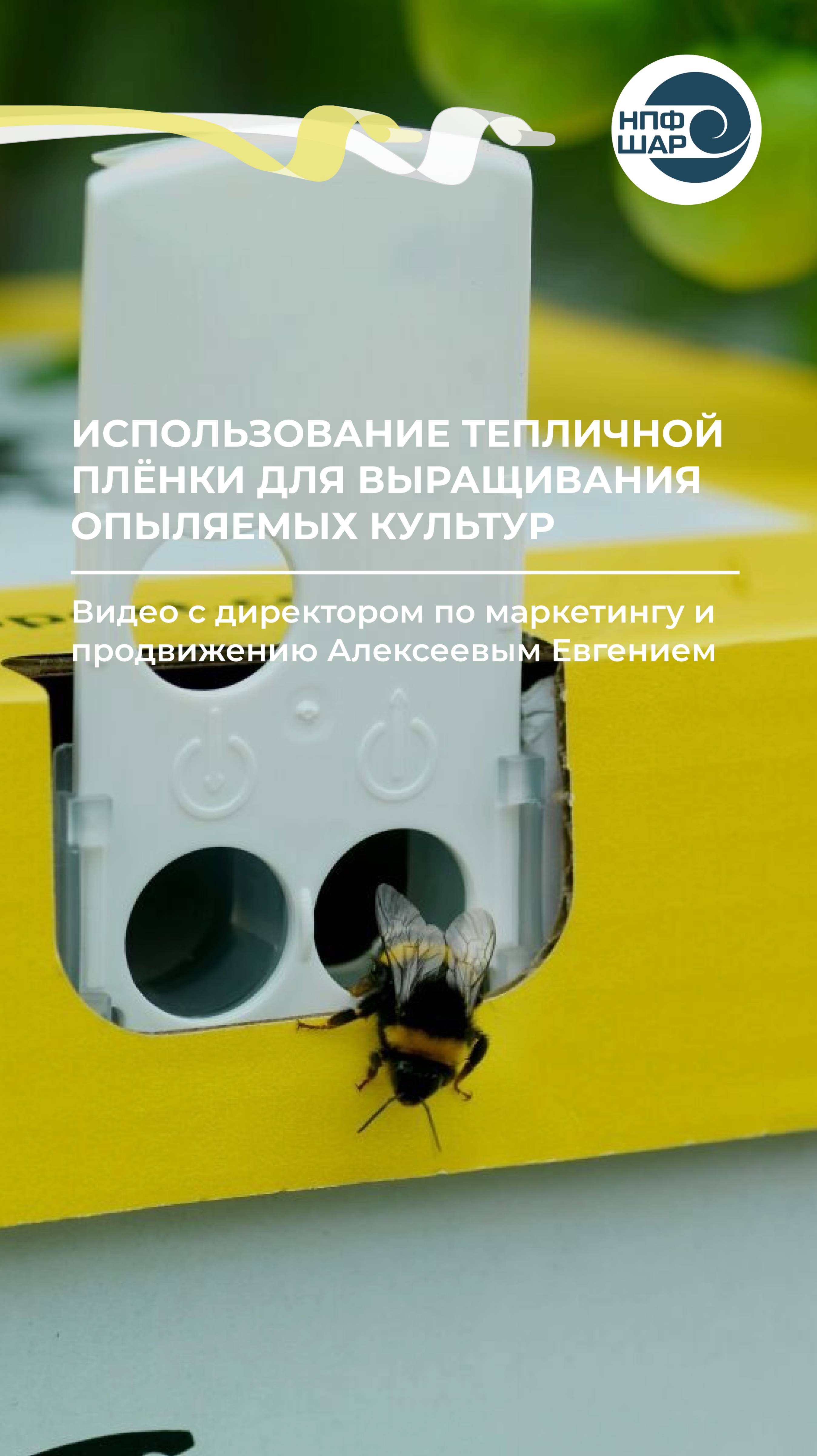 Плёнка для теплиц и опыление шмелями: почему это важно? 🌤️