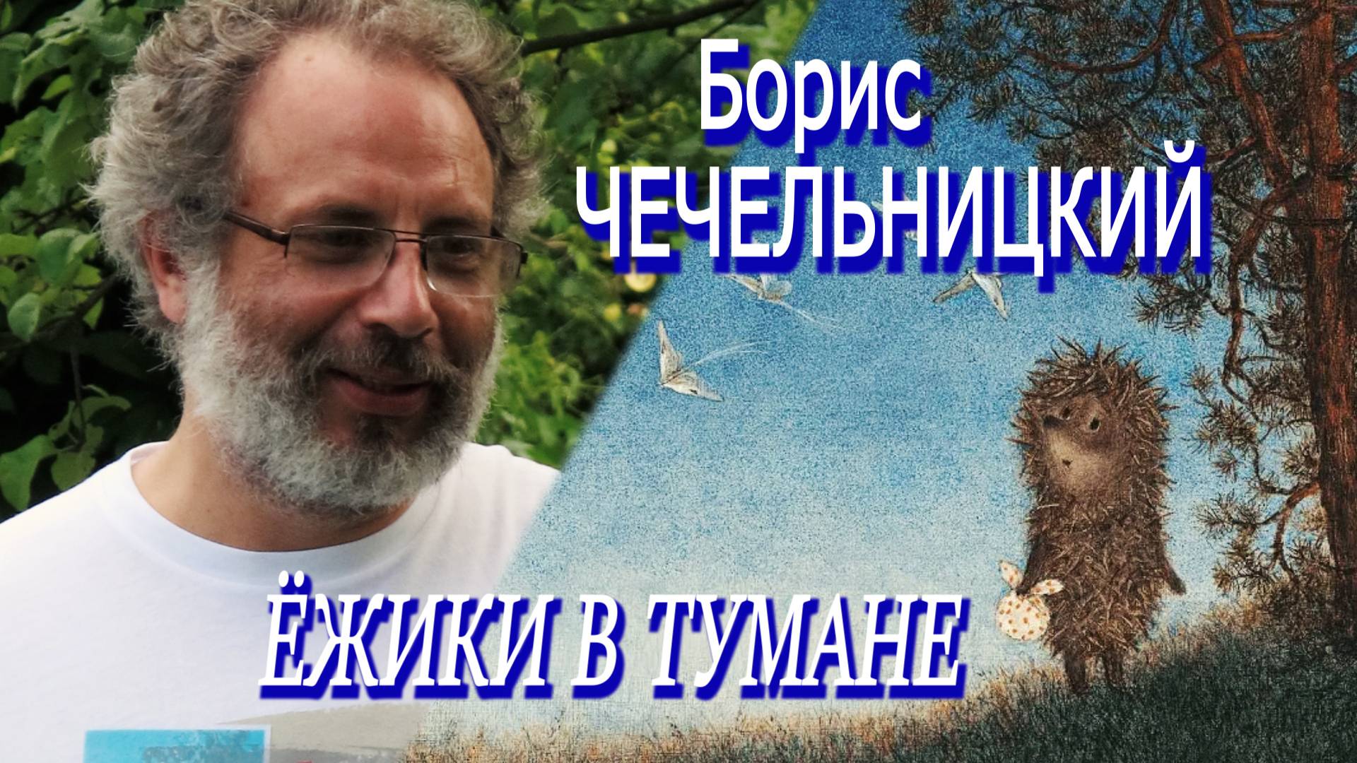 Борис Чечельницкий - Ёжики в тумане