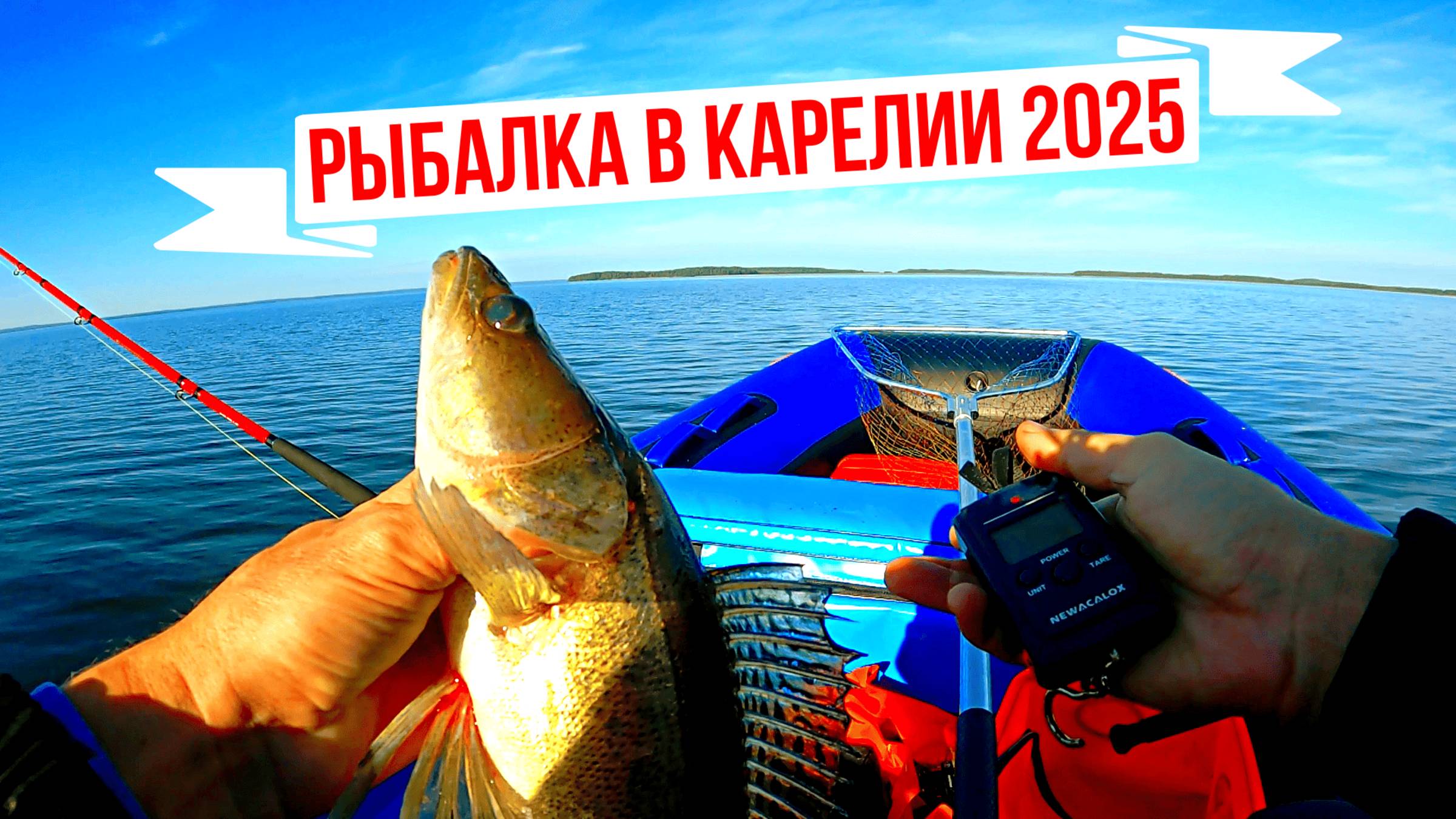 Ловля судака на воблеры осенью 2025, Сказочная Карелия