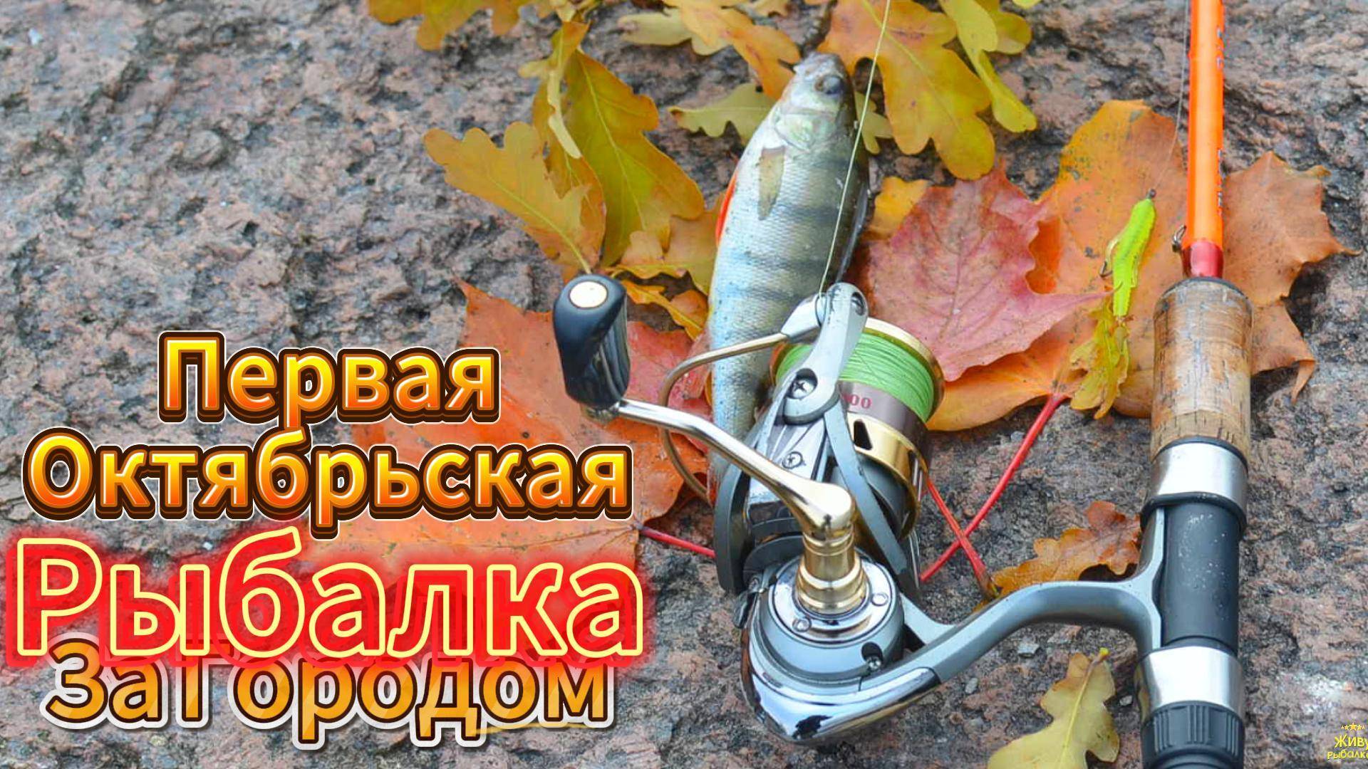 ПЕРВАЯ ОКТЯБРЬСКАЯ РЫБАЛКА ЗА ГОРОДОМ НЕВА 2025 ОСЕНЬ КЛЁВ ОКУНЯ БЫВАЕТ РАЗНЫМ ИЩЕМ ХИЩНИКА
