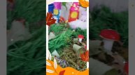 Осенняя фантазия, в стенах нашего детского сада.
