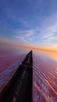 Бурлинское озеро. Алтайский край