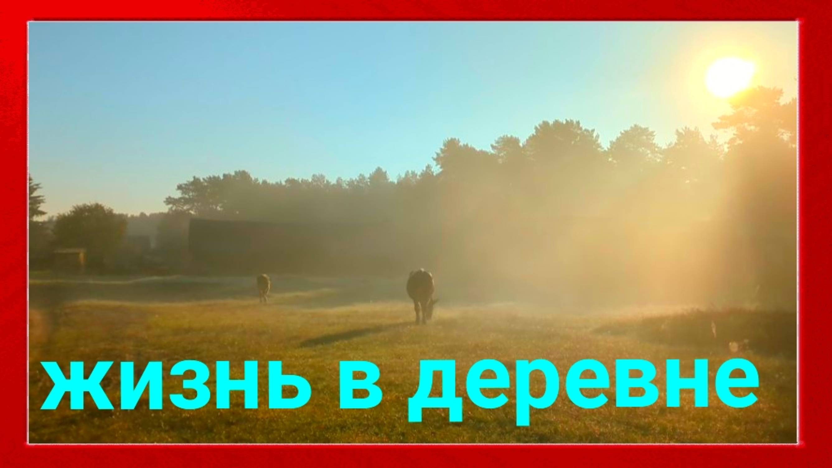 ИНТЕРЕСНЫЕ МОМЕНТЫ ИЗ ЖИЗНИ //ЭХО ДЕРЕВНИ