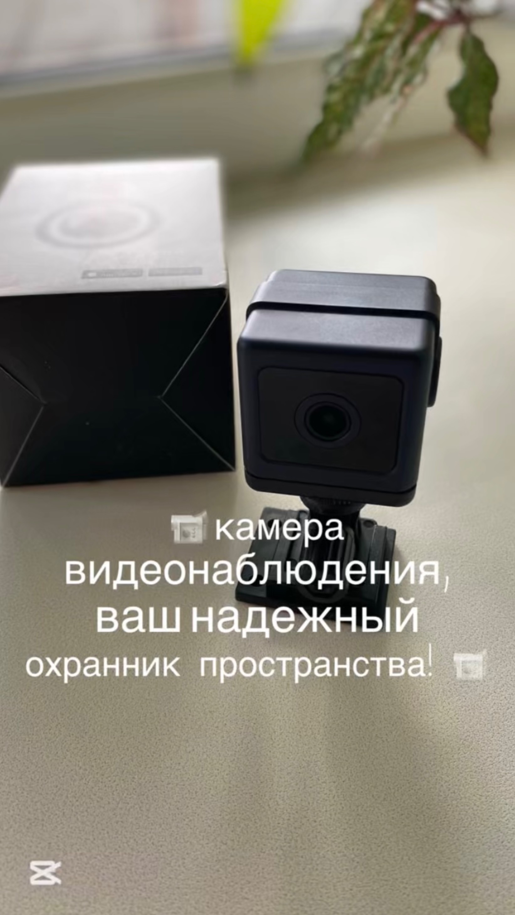 ‼️Маленький помощник в защите дома‼️