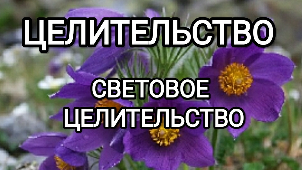 Световое целительство! #илларион