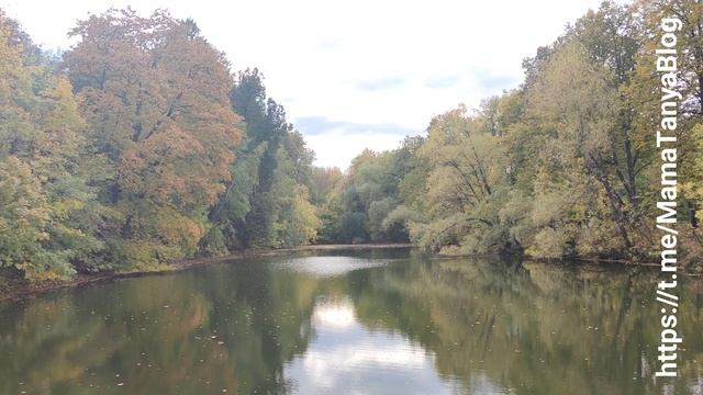 Андреевские пруды. Воробьевы горы