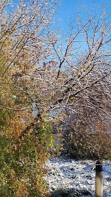 Доброе сибирское утречко ☕