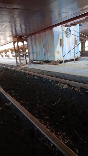 1000002213.mp405.10.2025г.