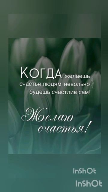 Счастье это когда....