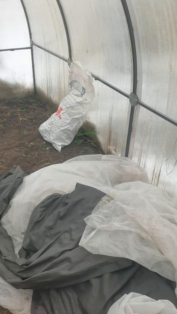 Наш любимый огород в деревне на 5 октября зима продолжается!
