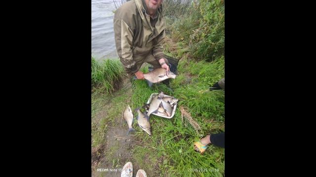 карп харошый