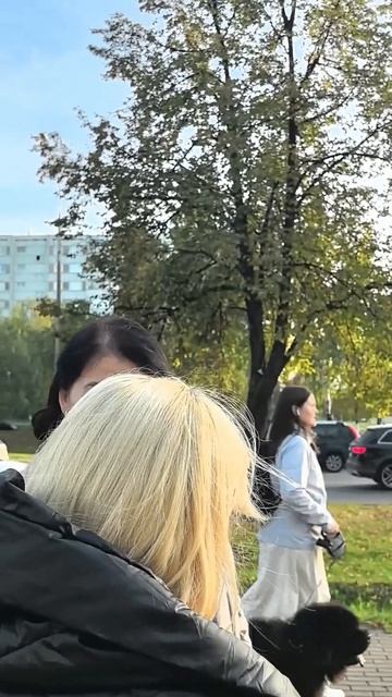 Пора мне открывать курсы по обучению нецензурной брани 🤣