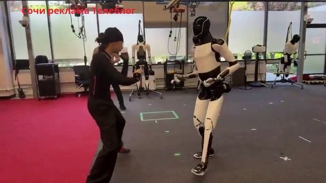 Маск показал, как его робот Optimus учится кунг-фу с мастером