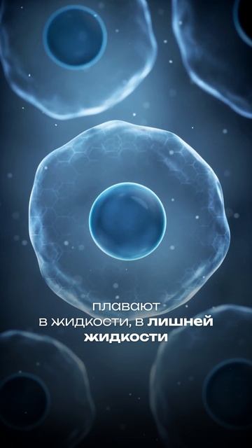 Жир или отек?