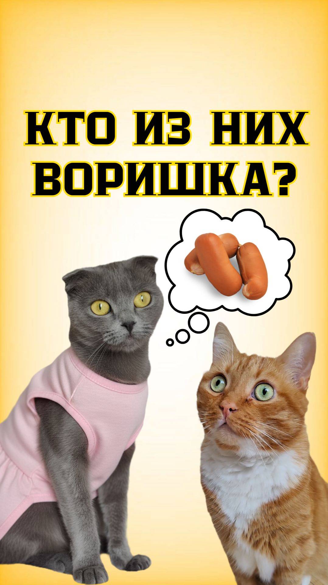 Кто стащил сардельки со стола?😳