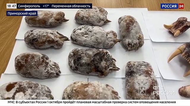 Телеканал «Россия 24», программа «Вести.Дежурная часть», 30.09.2025