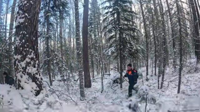 Поиск пропавшей семьи