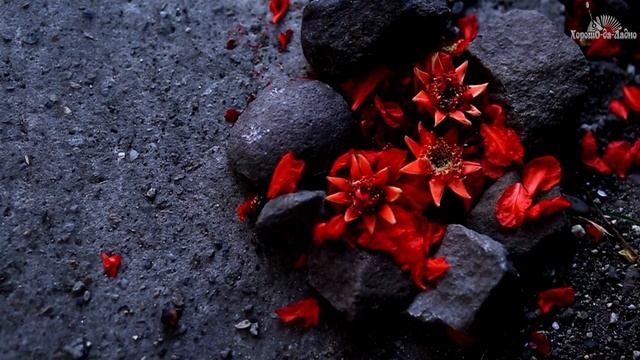 ХорошО-да-ЛаднО - Мирный Воин (КЛИП)