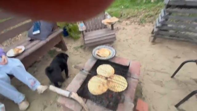 🫡 девчонкам понравилось 😊