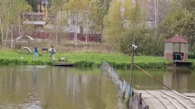 Светлые Горы Форель5 05.10.2025г.