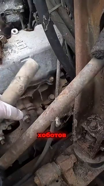 TG: NexpertGM Что с хоботами!  #shorts #независимыйэксперт #георгиймедведев