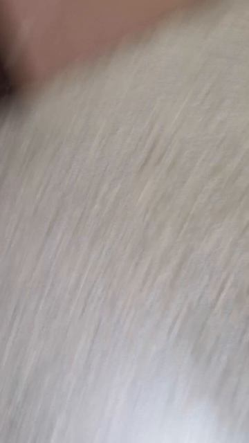 VID_20250925_174858.mp4